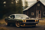 Green Hell Cat-Stance Bros